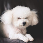 Profile photo of Mindy